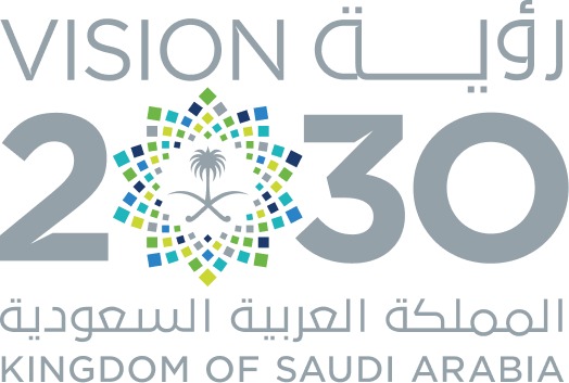 البعد الأول: تحقيق التميز في الأداء الحكومي
